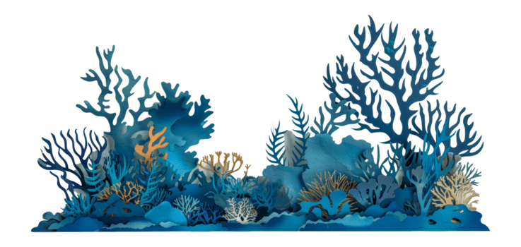 Coral reef
